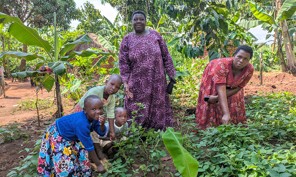 Kvinnor plockar grönsaker i Uganda.