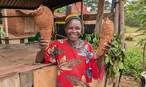 Maria i Uganda håller kassava i händerna.
