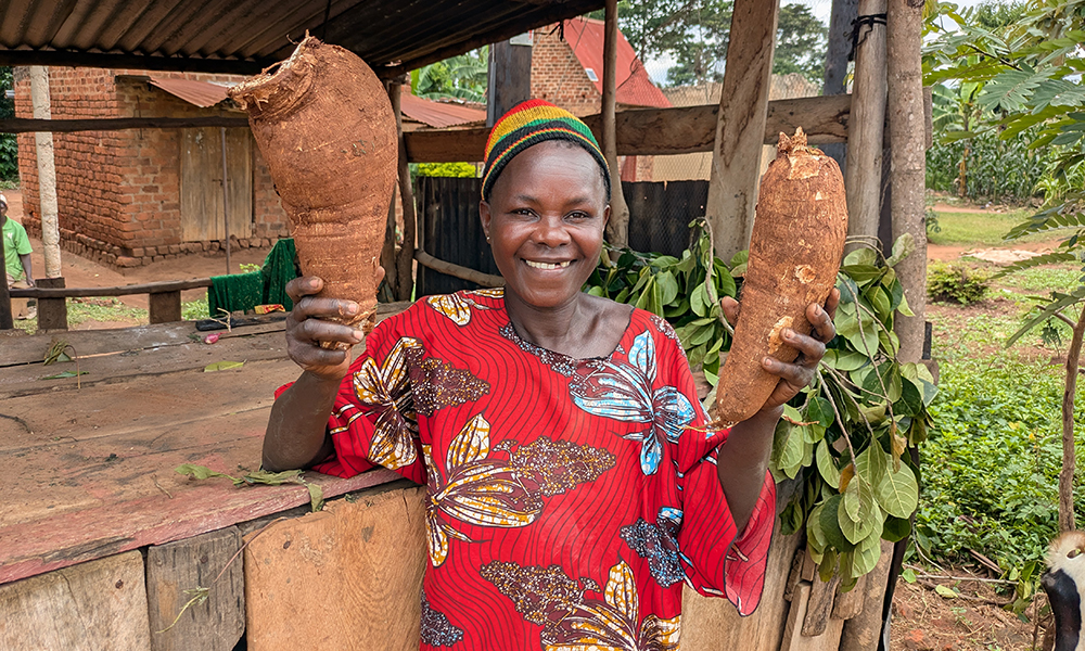 Maria i Uganda står vid ett stånd med kassava i handen.